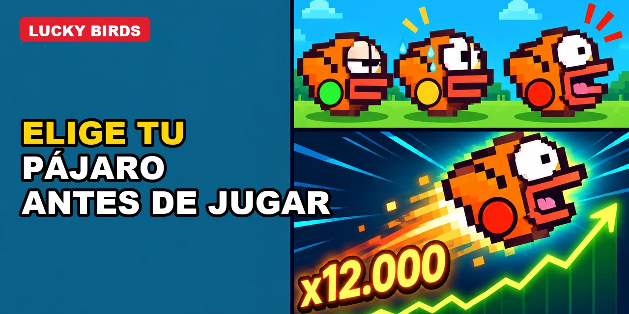 Lucky Birds Perú: comparando las tres opciones