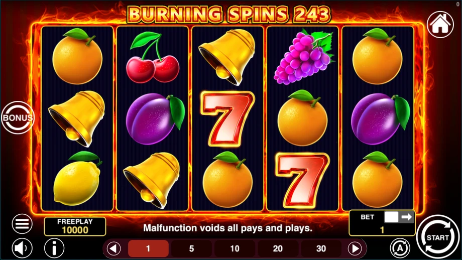 Captura del juego Burning Spins 243, tragamonedas de 1spin4win disponible en 1win