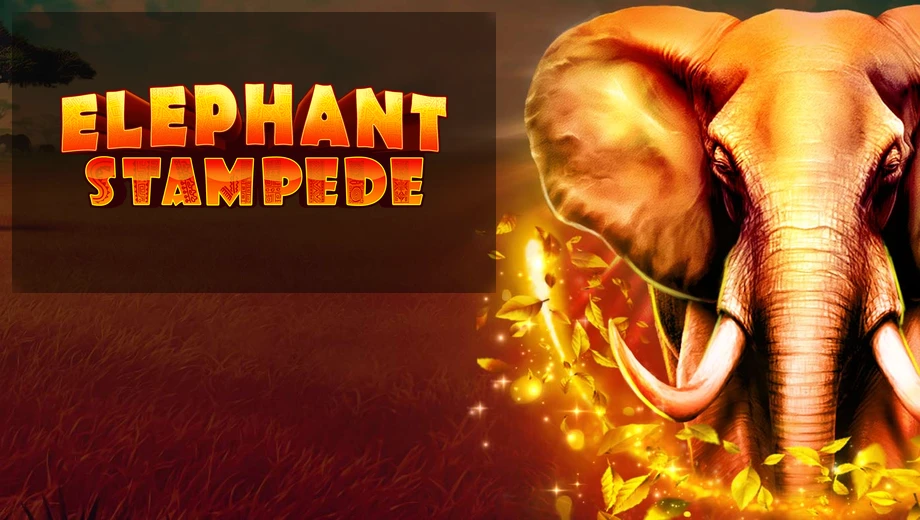 Banner de Elephant Stampede, tragamonedas de RubyPlay disponible en 1win