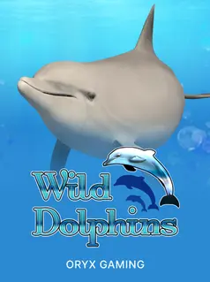 Wild Dolphins